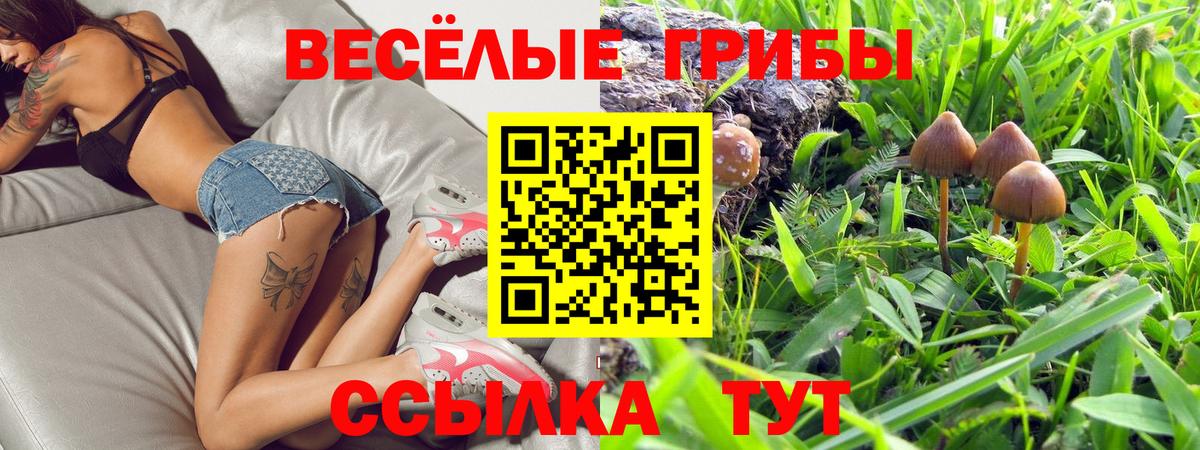 Галлюциногенные грибы прущие грибы Зеленокумск